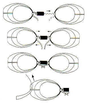 Svedesi con bordo soffice silicone